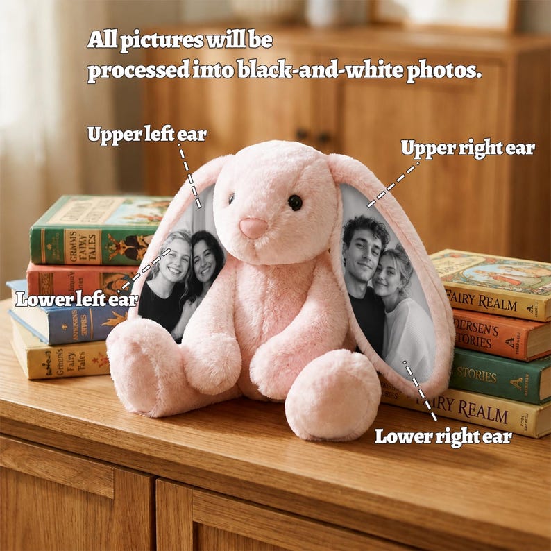 Hidden Memories Bunny